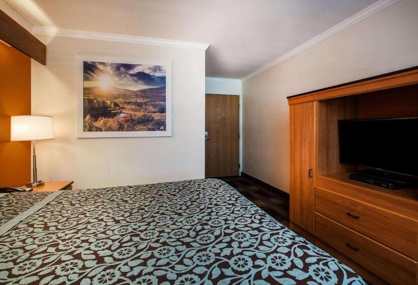 标准间, Days Inn & Suites By Wyndham Antioch