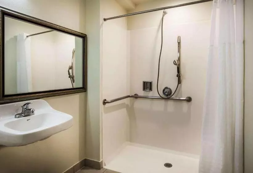 اتاق استاندارد برای معلولان, Days Inn & Suites By Wyndham Antioch