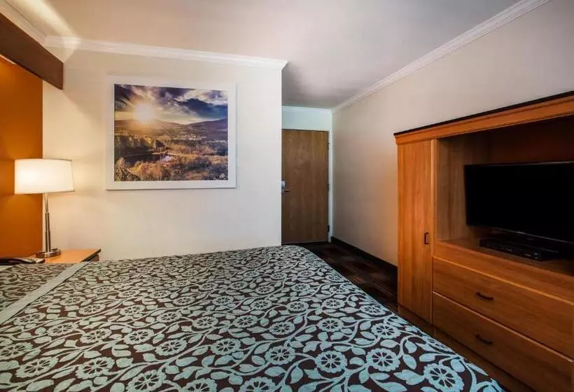 اتاق استاندارد برای معلولان, Days Inn & Suites By Wyndham Antioch