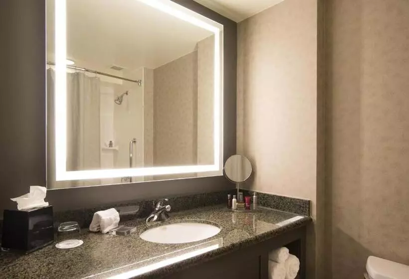 Deluxe-huone Soveltuu Liikuntarajoitteisille, Hartford Marriott Downtown