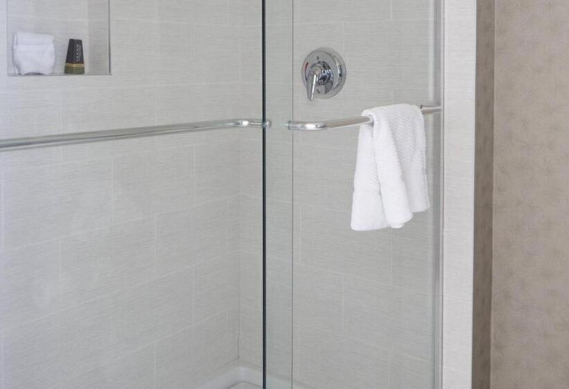 Номер Deluxe Адаптированный для Инвалидов, Hartford Marriott Downtown