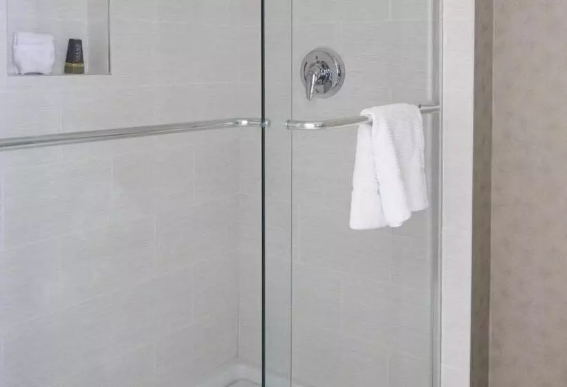 Deluxe-huone Soveltuu Liikuntarajoitteisille, Hartford Marriott Downtown