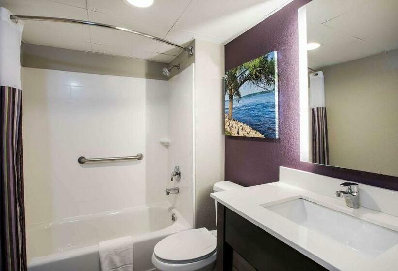 キングサイズベッドのスタンダードルーム, La Quinta Inn By Wyndham Davenport & Conference Center