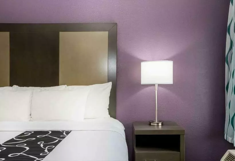 キングサイズベッドのスタンダードルーム, La Quinta Inn By Wyndham Davenport & Conference Center