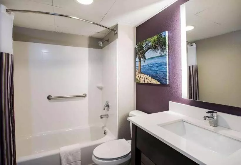キングサイズベッドのデラックスルーム, La Quinta Inn By Wyndham Davenport & Conference Center