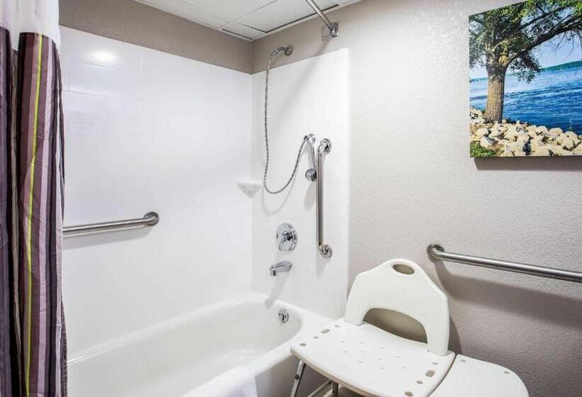 장애인을 위한 킹사이즈 침대 스탠다드 룸, La Quinta Inn By Wyndham Davenport & Conference Center