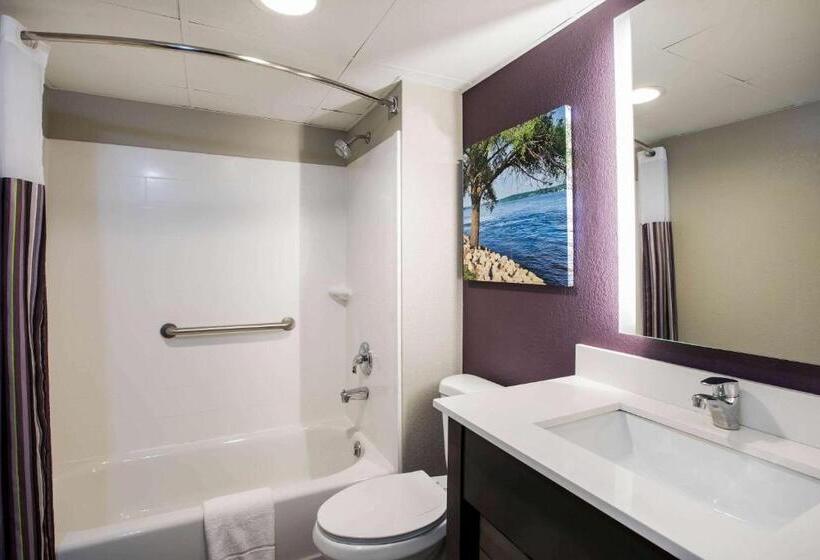 キングサイズベッドのデラックススイート, La Quinta Inn By Wyndham Davenport & Conference Center