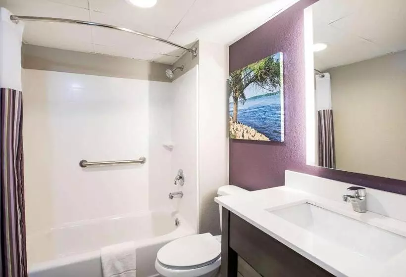 キングサイズベッドのデラックススイート, La Quinta Inn By Wyndham Davenport & Conference Center