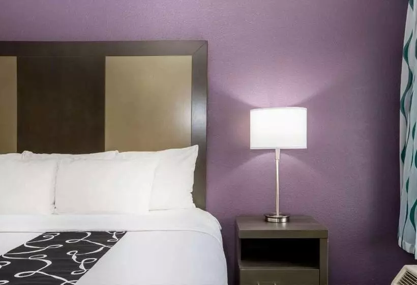 キングサイズベッドのスイートルーム, La Quinta Inn By Wyndham Davenport & Conference Center
