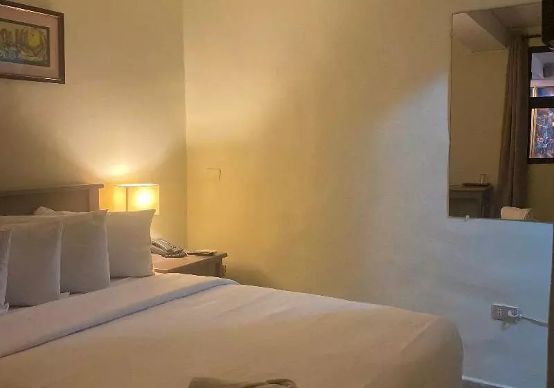 اتاق استاندارد یک نفره, Morrison Hotel San Salvador