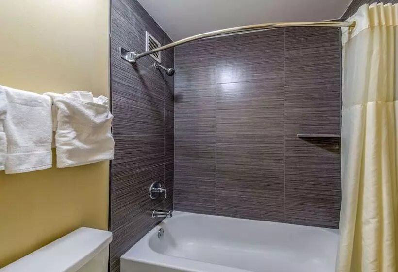 Standard-huone 2 Parivuodetta, Quality Inn Gainesville