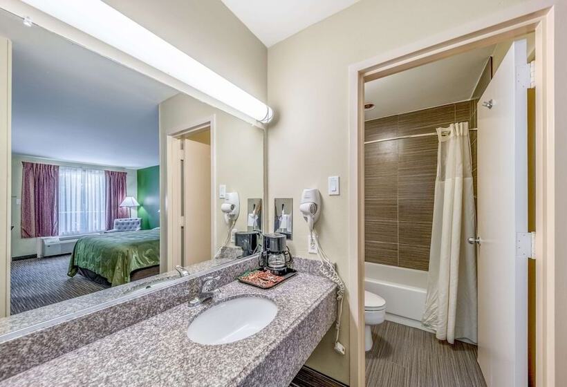 غرفه قياسيه سريرين مزدوجين, Quality Inn Gainesville