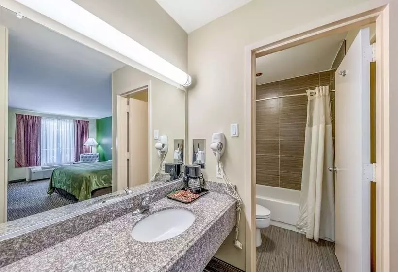 Standard-huone 2 Parivuodetta, Quality Inn Gainesville