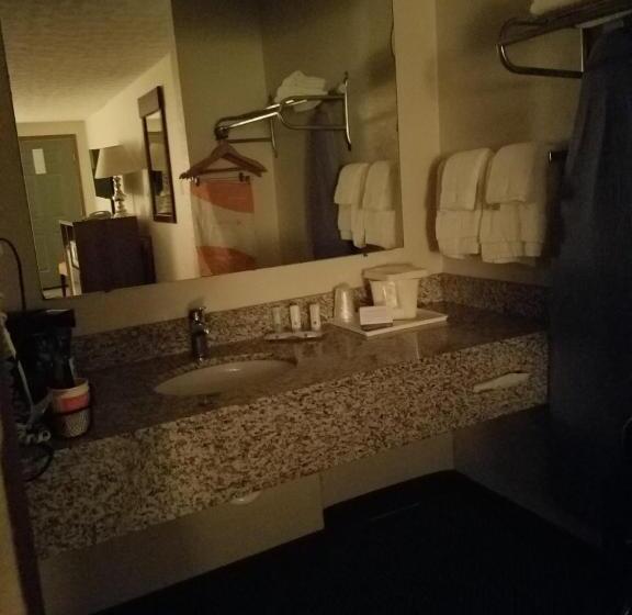 Стандартный Номер Нижний Этаж, Quality Inn New River Gorge