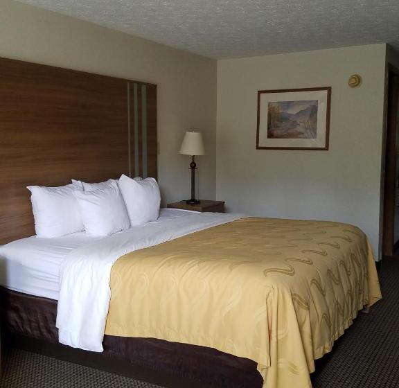 장애인을 위한 킹사이즈 침대 스탠다드 룸, Quality Inn New River Gorge