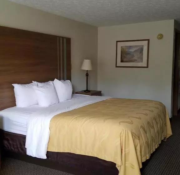 身障者適用キングサイズベッドルーム, Quality Inn New River Gorge