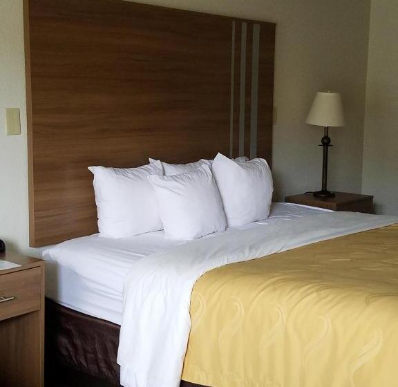 Номер Стандарт Кровать Кинг Адаптированный для Инвалидов, Quality Inn New River Gorge