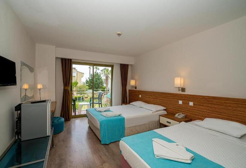 标准间, Tu Casa Gelidonya