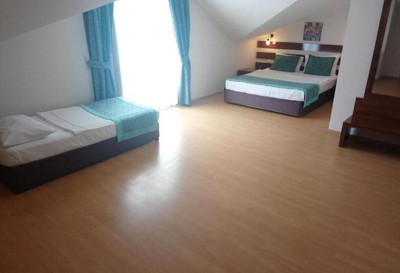 家庭间, Tu Casa Gelidonya