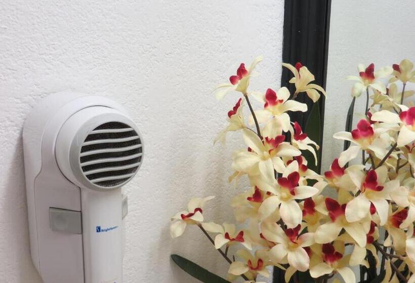 غرفة ديلوكس, Microtel Inn & Suites By Wyndham Kingsland Naval Base I 95