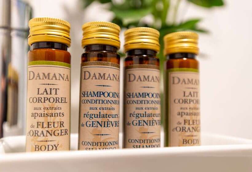 高级大房间, Art Boutique Hotel Chamarel