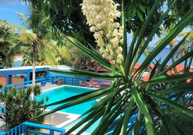 اتاق استاندارد, Bluesun Hotel Elaphusa