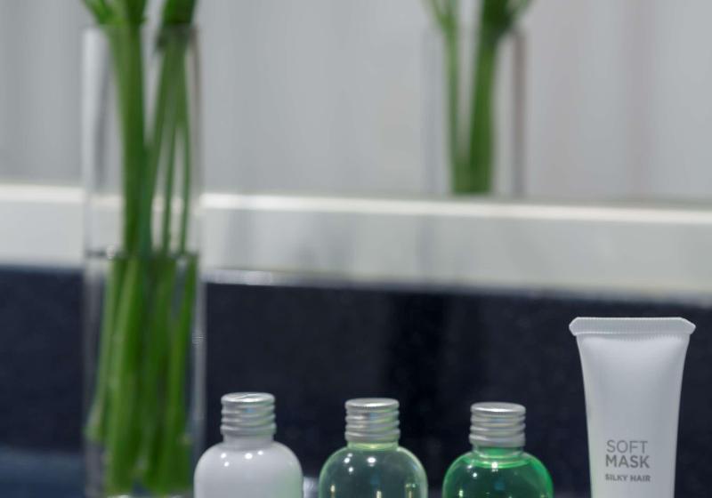 اتاق استاندارد با چشم‌انداز, NH Antofagasta