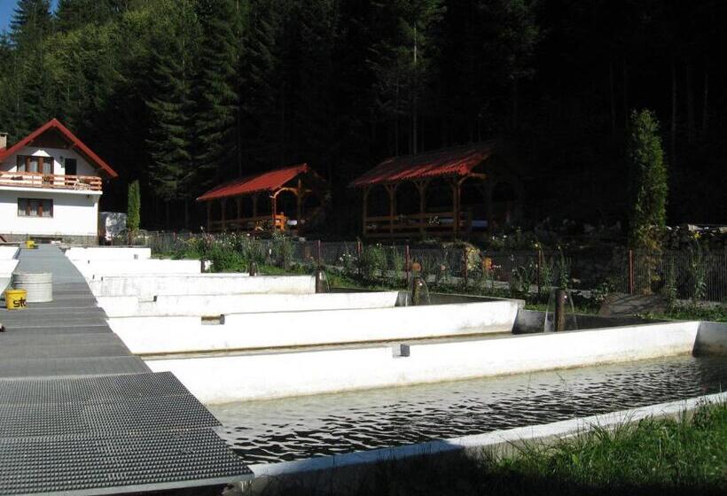 اتاق استاندارد, Paltinis