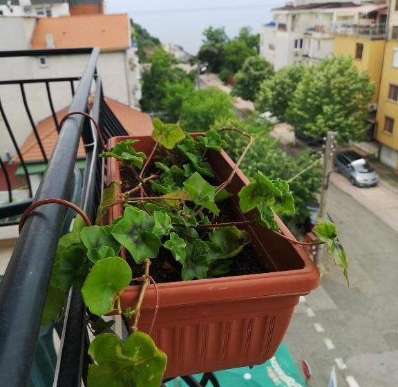 اتاق خانوادگی, Kovachevi House