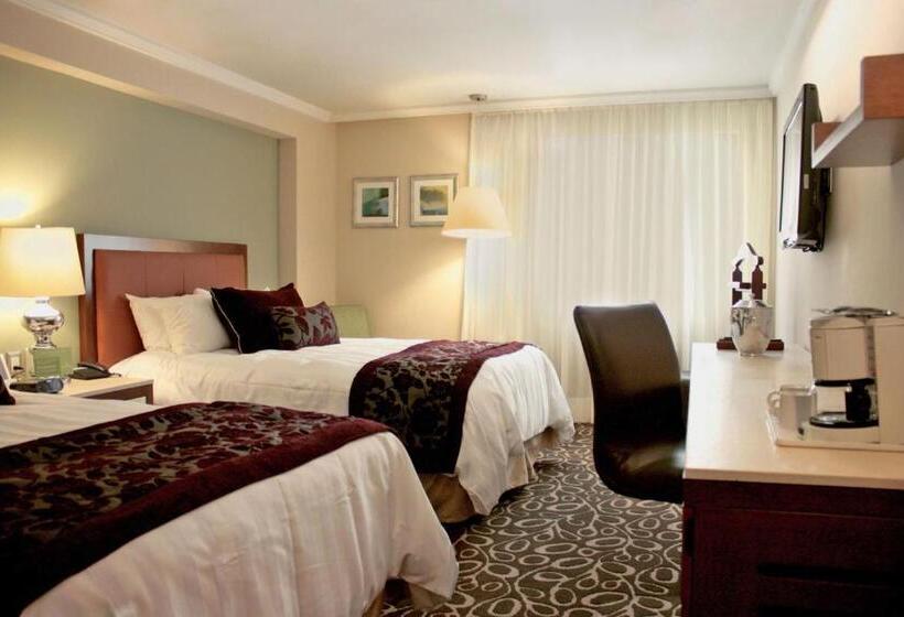 חדר סופריור, Emporio Zacatecas