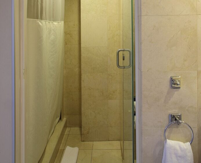 חדר סופריור, Emporio Zacatecas