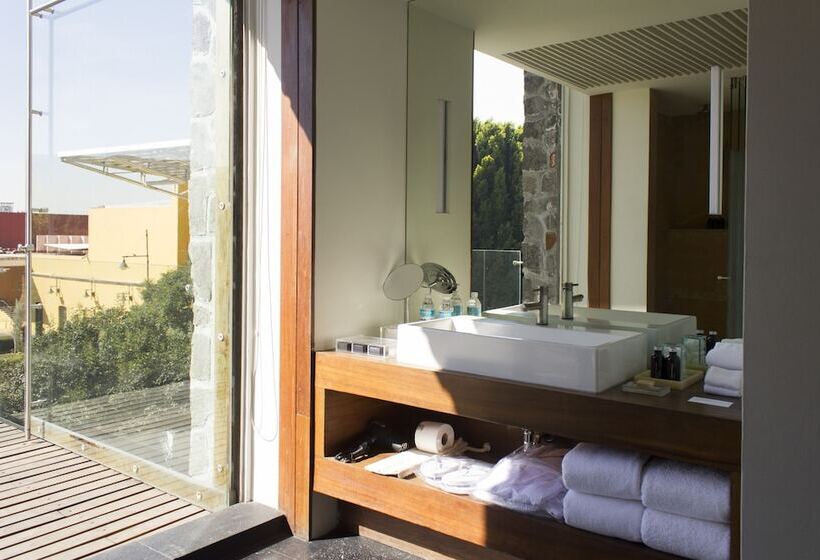 اتاق استاندارد با 2 تخت دوبل, La Purificadora, Puebla, A Member Of Design Hotels