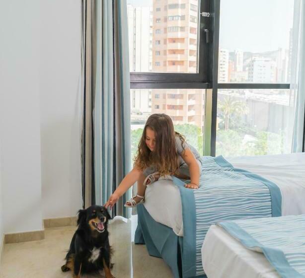 דירת שלושה חדרים, Magic Atrium Plaza