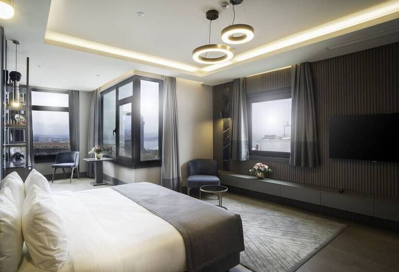 اتاق لوکس, Arts Hotel Taksim