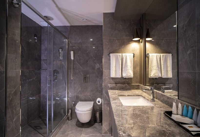 اتاق لوکس با بالکن, Arts Hotel Taksim