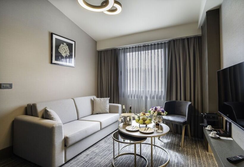 سوییت جونیور با چشمانداز دریا, Arts Hotel Taksim