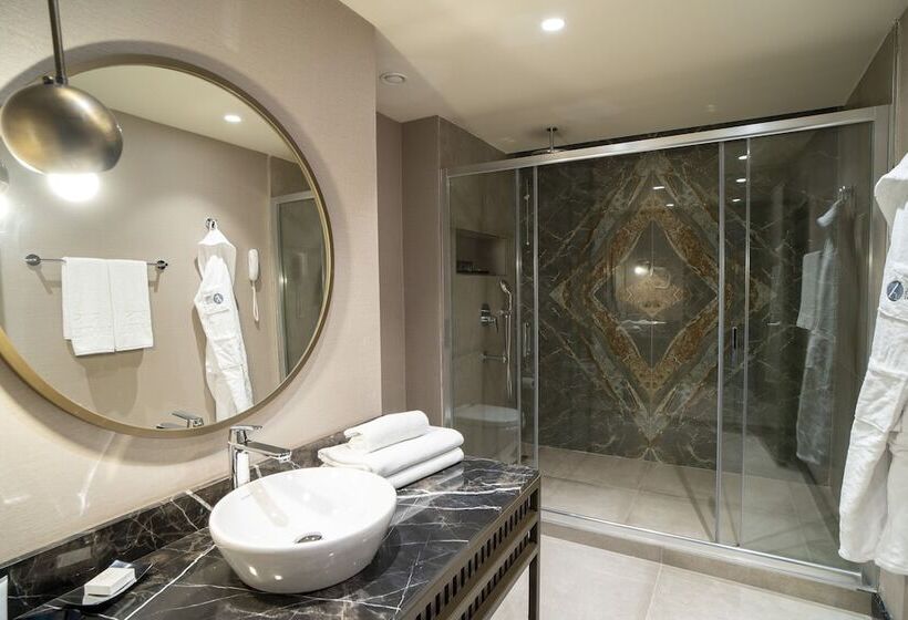 اتاق لوکس, Arts Hotel Taksim