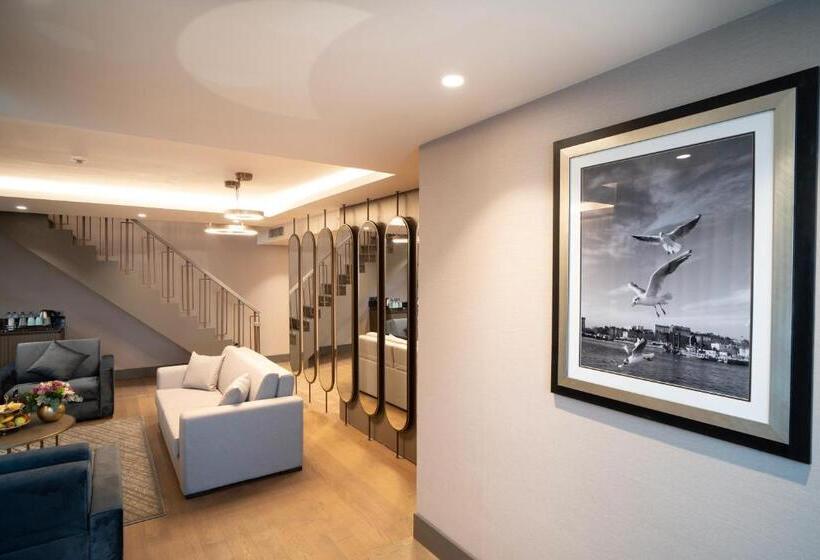 سوئیت با تخت بزرگ, Arts Hotel Taksim