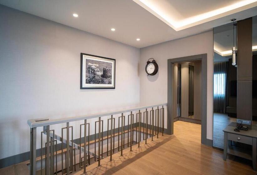 سوئیت با تخت بزرگ, Arts Hotel Taksim