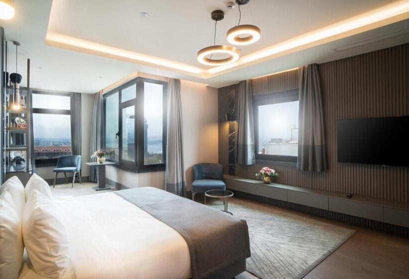 سوئیت با تخت بزرگ, Arts Hotel Taksim