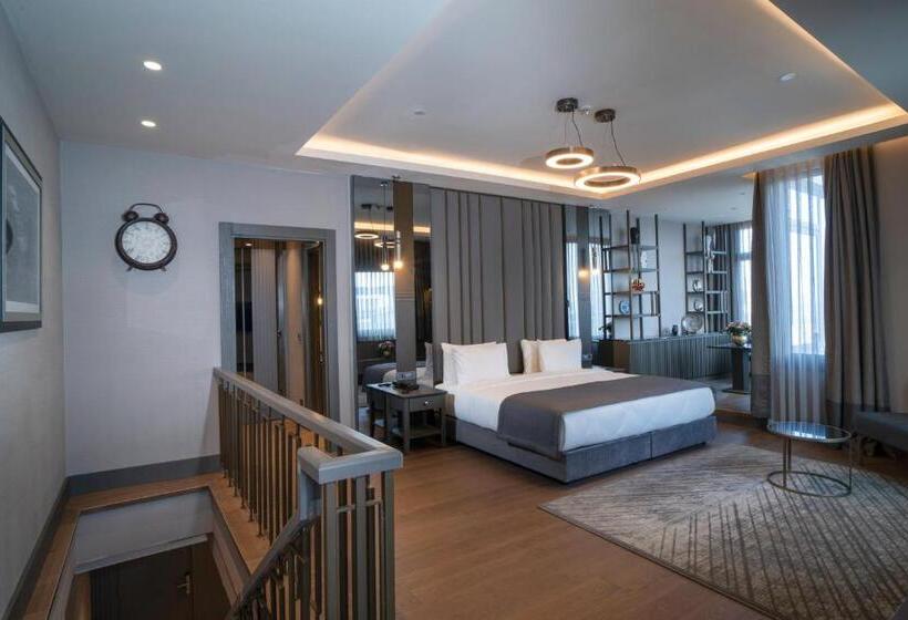 سوئیت با تخت بزرگ, Arts Hotel Taksim