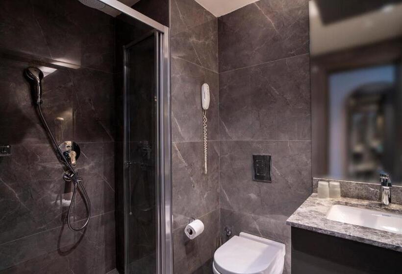 سوییت جونیور, Arts Hotel Taksim