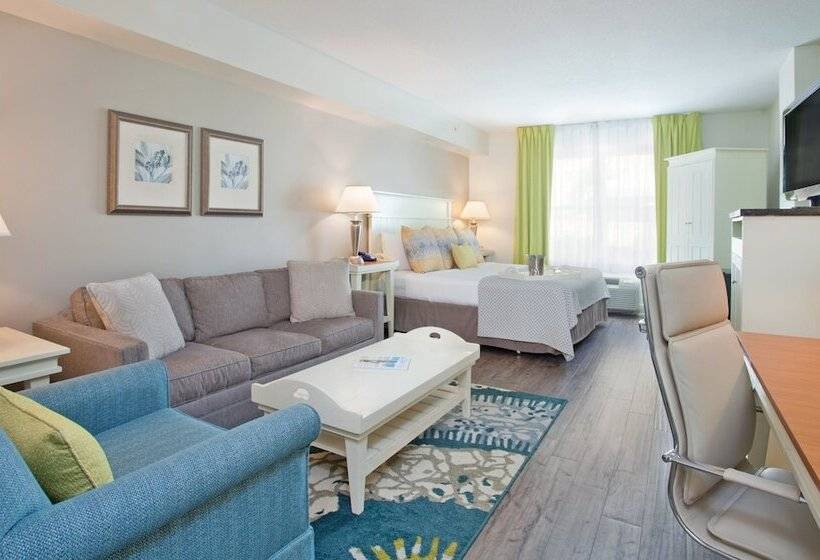 غرفة قياسية, Voco Sarasota, An Ihg