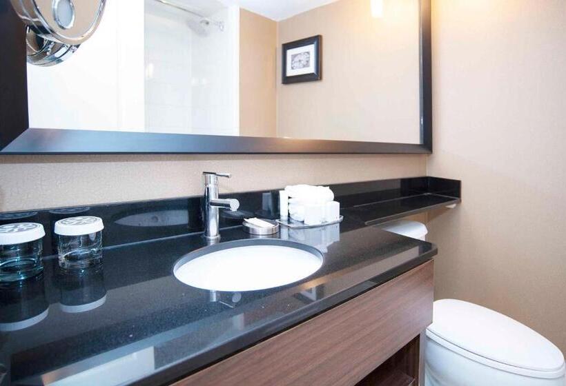 غرفة قياسية سرير كينج, Sandman Signature Toronto Airport