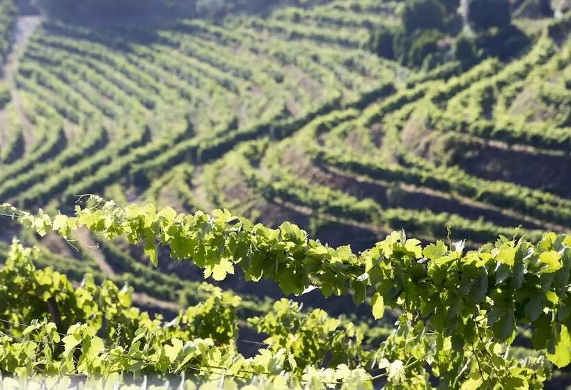 اتاق لوکس, Six Senses Douro Valley