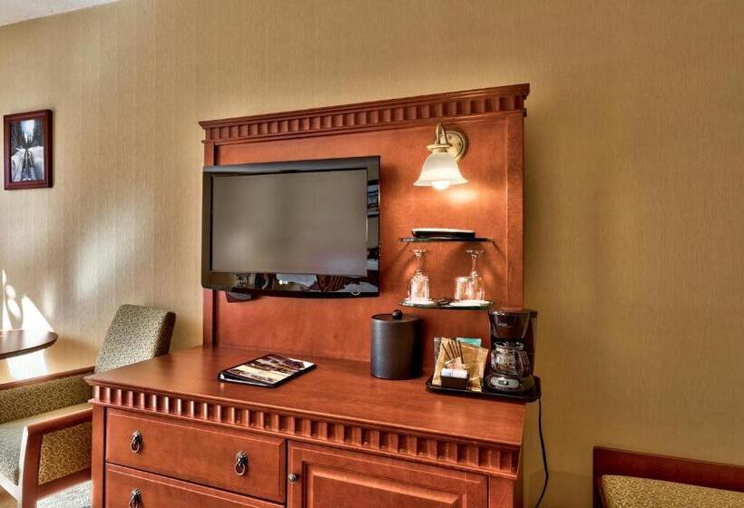 חדר סטנדרט, Sun Peaks Lodge