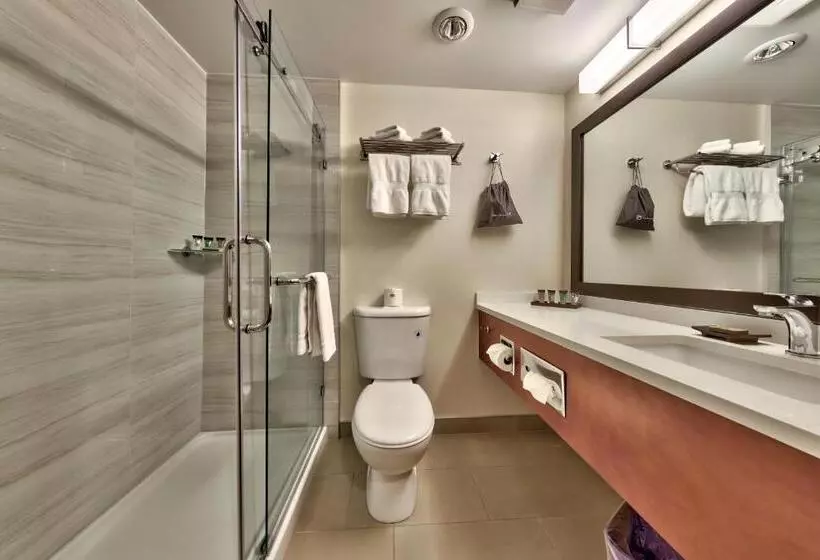 اتاق استاندارد با تخت بزرگ, Sun Peaks Lodge