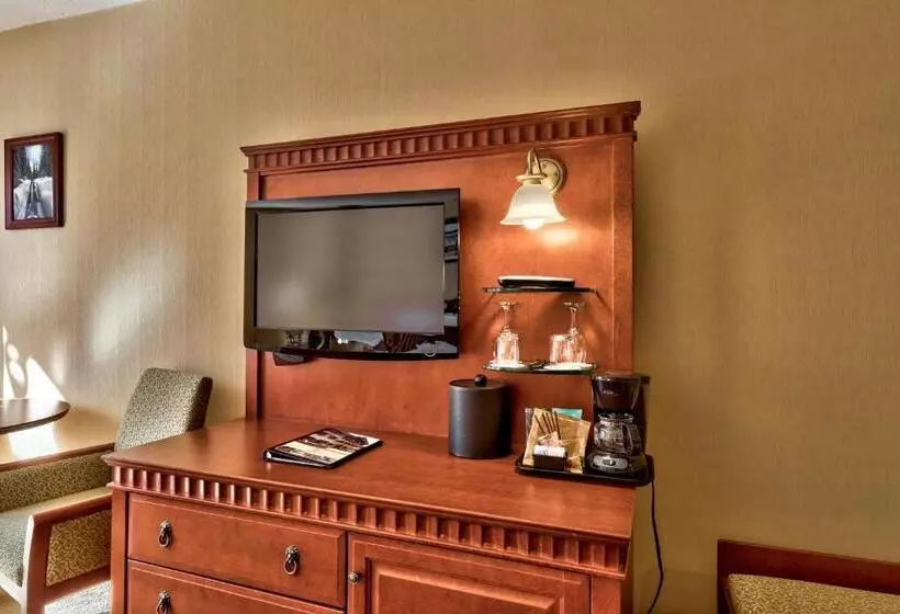 اتاق استاندارد با تخت بزرگ, Sun Peaks Lodge