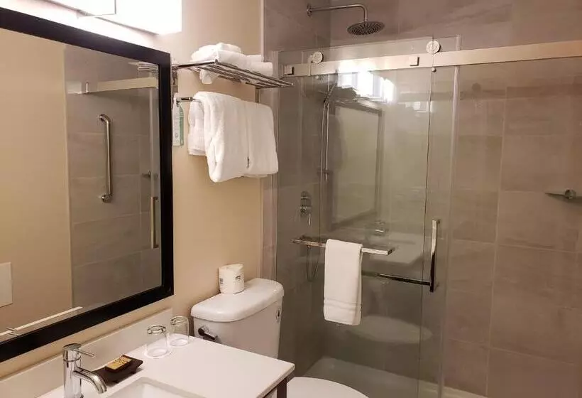 استودیوی لوکس, Sun Peaks Lodge