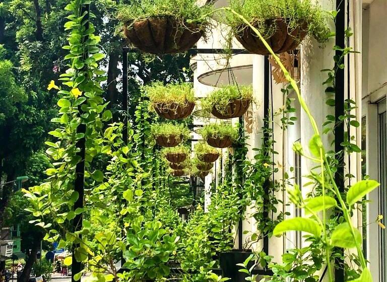 اتاق لوکس با چشم‌انداز شهر, Thang Long Opera